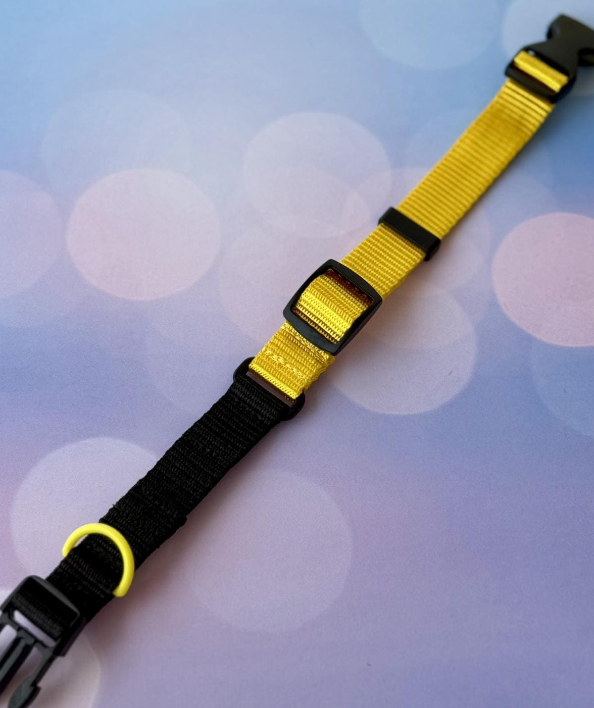 Travel pet collar, TSA security-friendly. Personalization included!