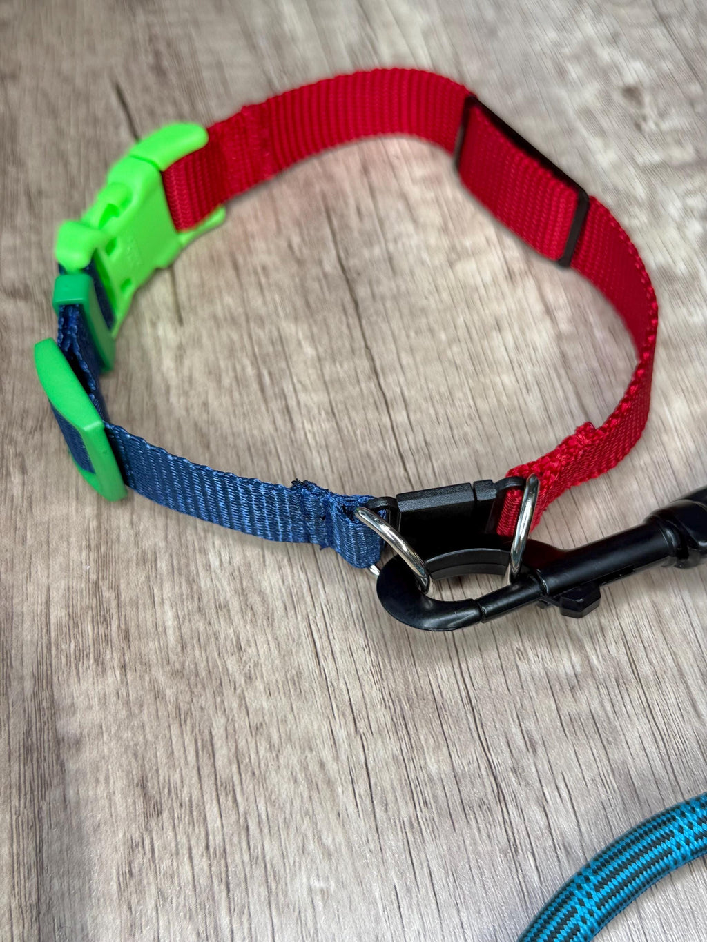 Quick-release safety collar or breakaway collar for dogs with personalization included!