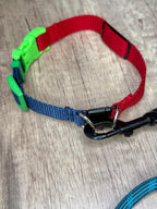 Quick-release safety collar or breakaway collar for dogs with personalization included! (Copy)