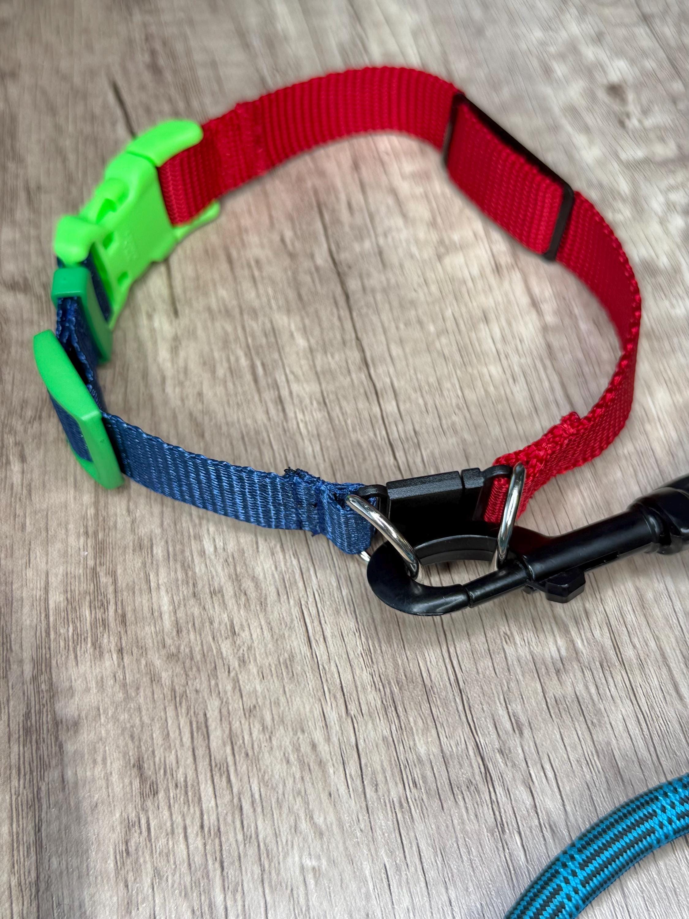 Quick-release safety collar or breakaway collar for dogs with personalization included!
