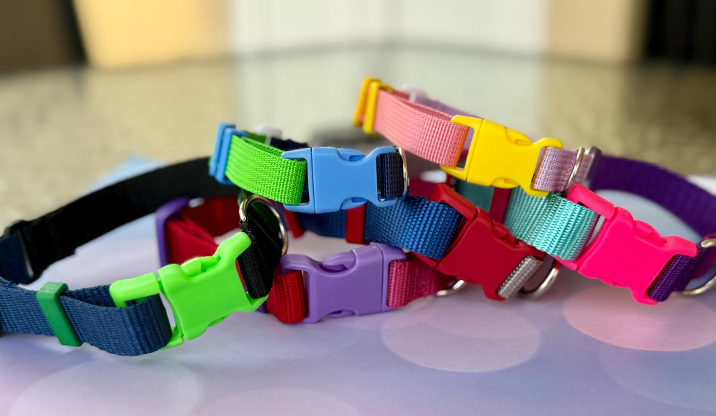 Quick-release safety collar or breakaway collar for dogs with personalization included!
