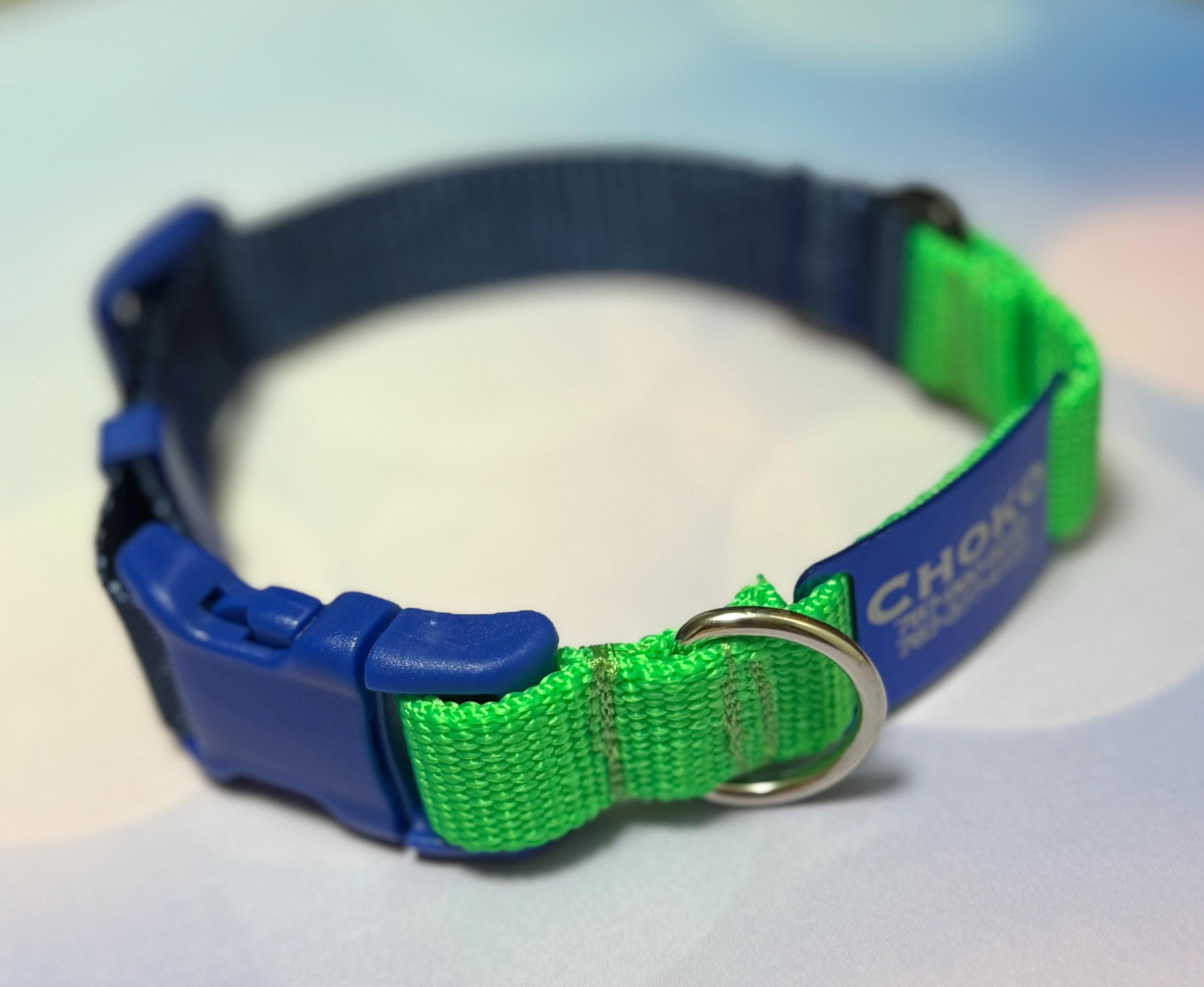 Quick-release safety collar or breakaway collar for dogs with personalization included!