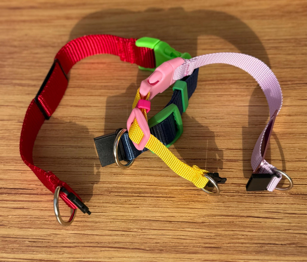 Quick-release safety collar or breakaway collar for dogs with personalization included!