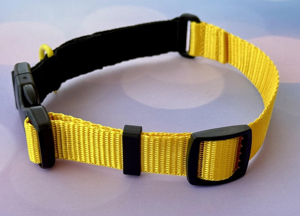 Travel pet collar, TSA security-friendly. Personalization included!