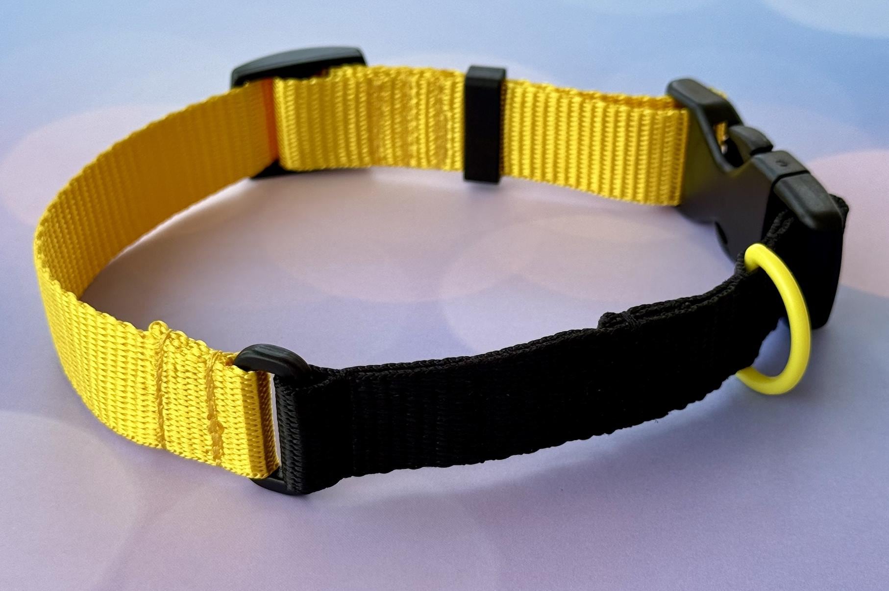 Travel pet collar, TSA security-friendly. Personalization included!