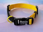 Travel pet collar, TSA security-friendly. Personalization included!