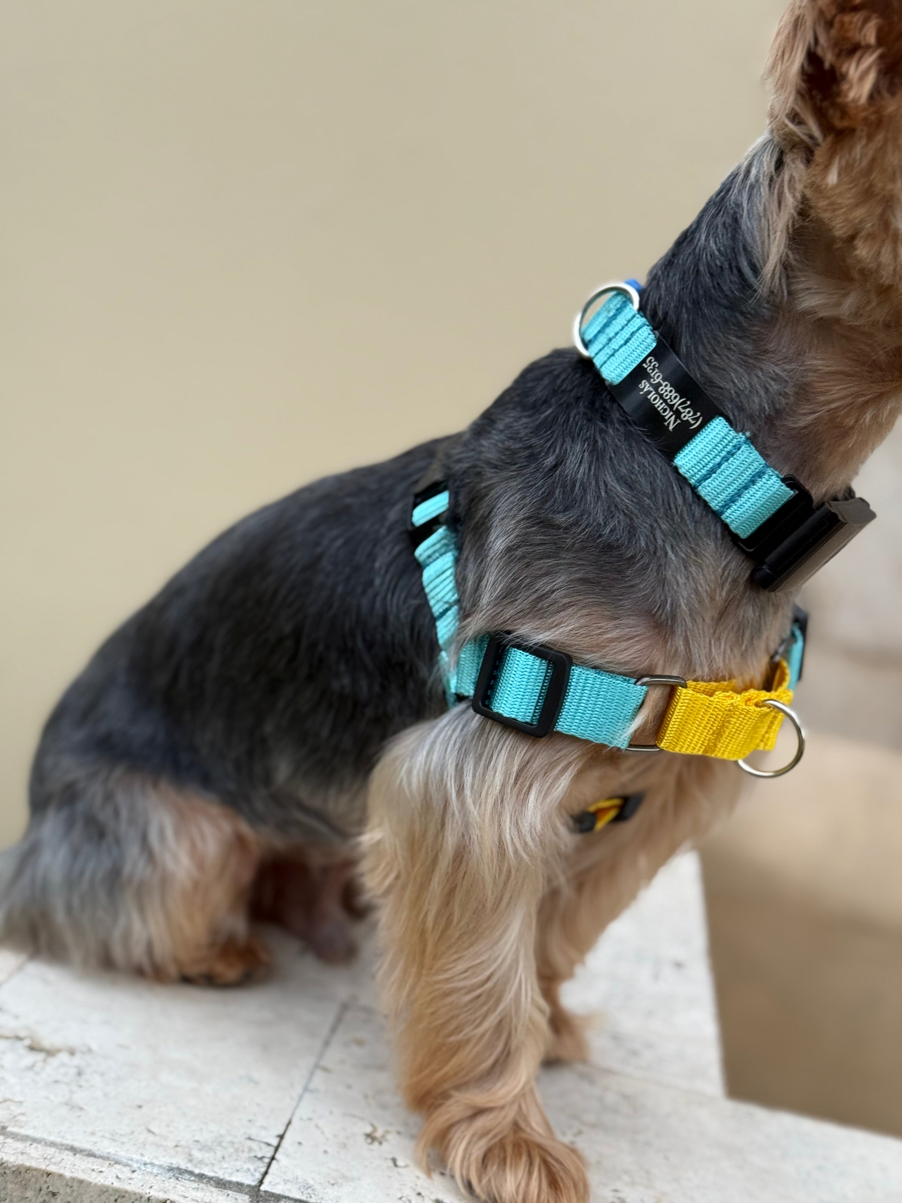 Easy-walk Harness