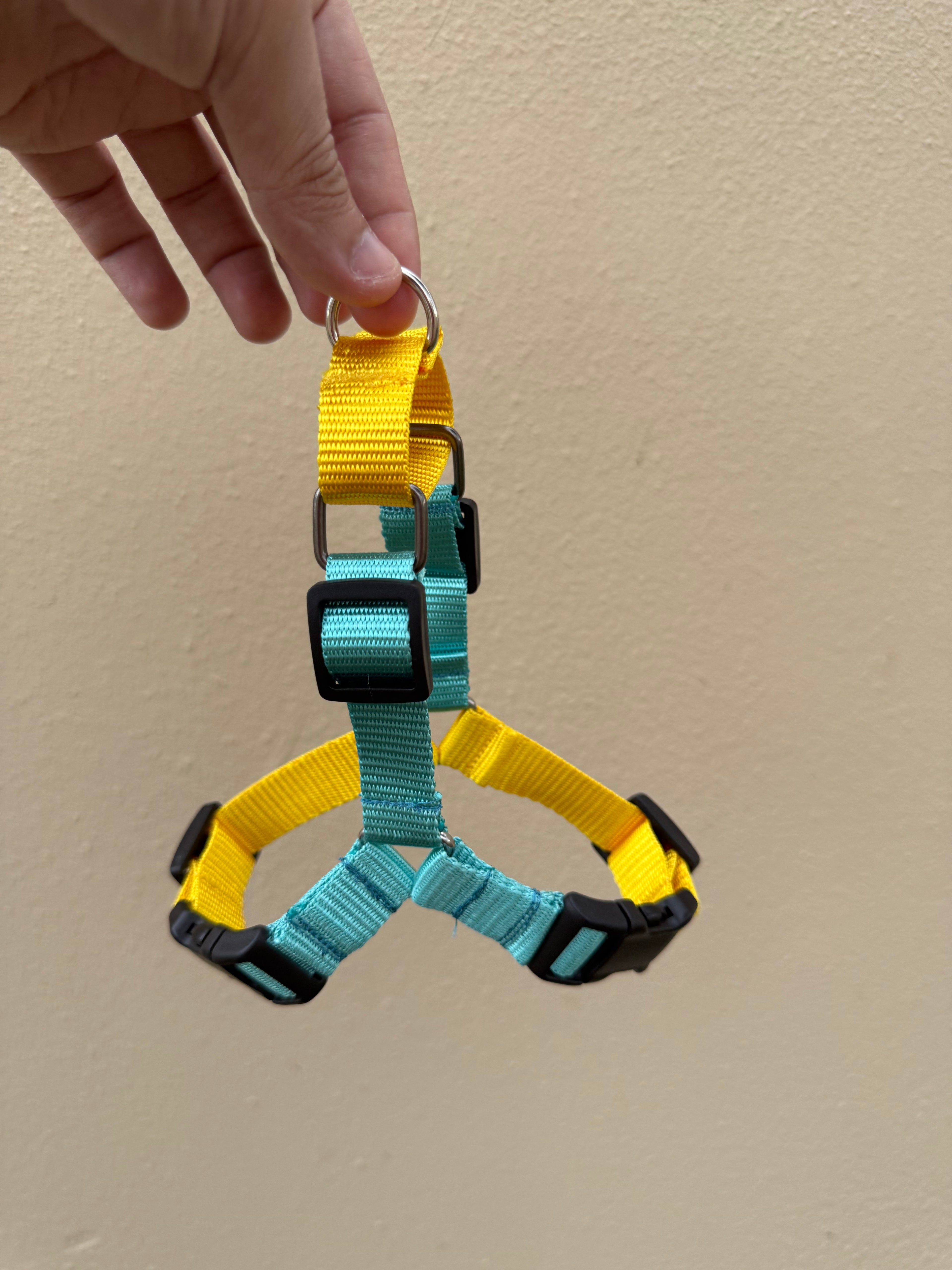 Easy-walk Harness