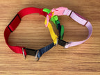 Quick-release safety collar or breakaway collar for dogs with personalization included! (Copy)