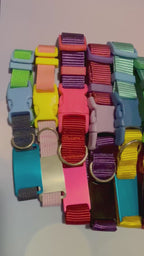 Quick-release safety collar or breakaway collar for dogs with personalization included!